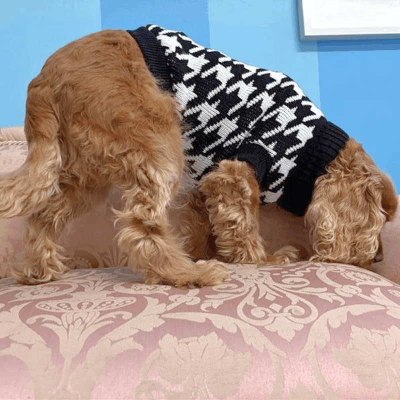 Houndztooth Dog Jumper - DOGUE