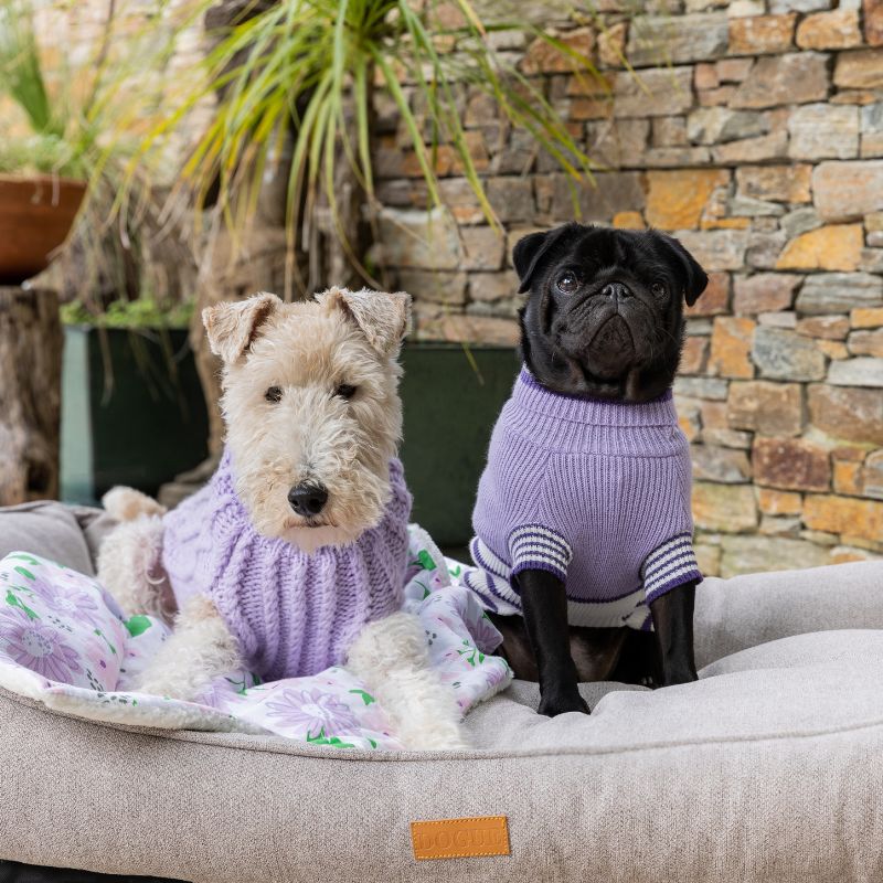 biggest-birthday-sale