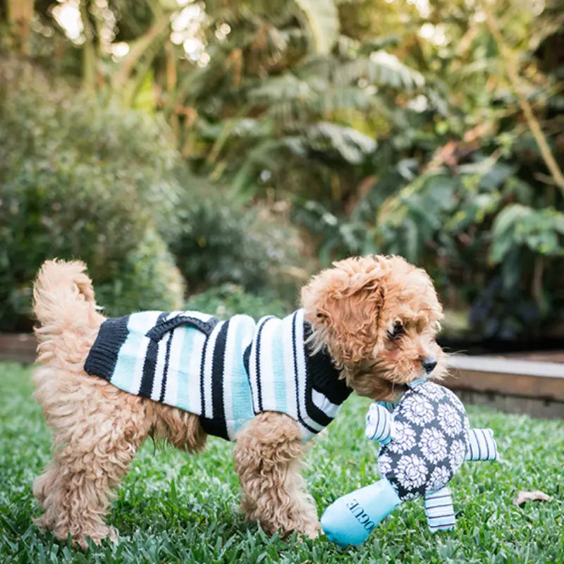 DOGUE Platypus Dog Toy | Buy Online at DOGUE Australia
