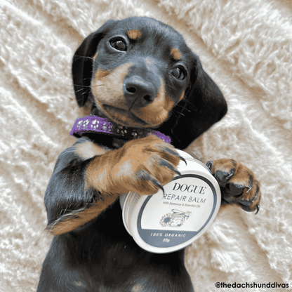 DOGUE Repair Balm