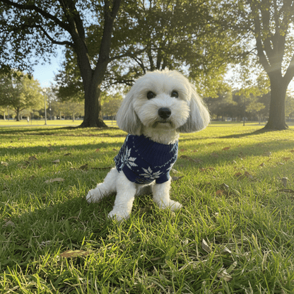 Snowflake Dog Jumper