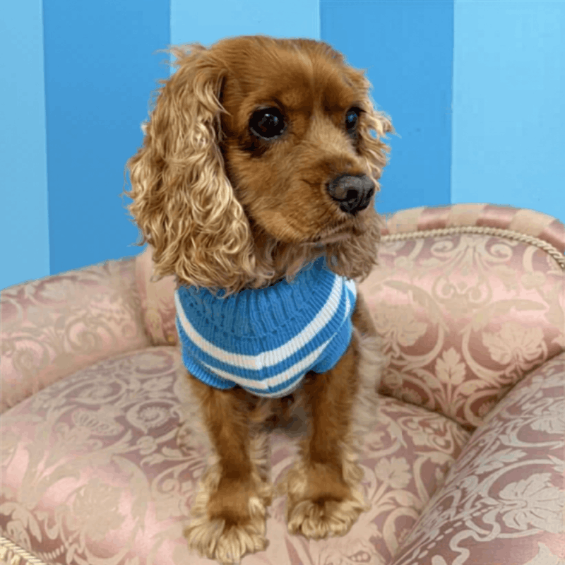 Stripe Dog Jumper