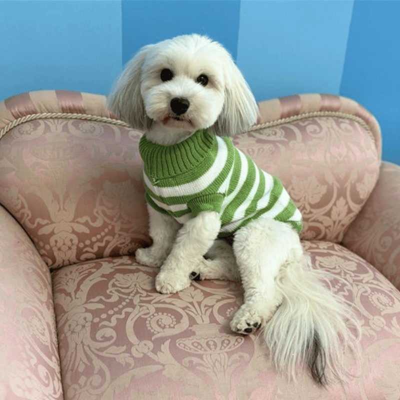 Stripe Dog Jumper