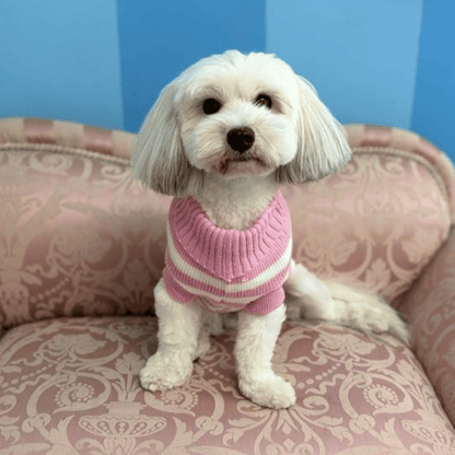Stripe Dog Jumper