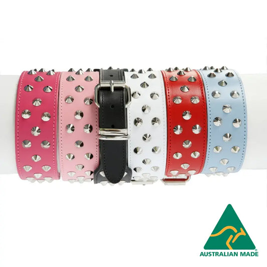 DOGUE Stud Muffin Leather Dog Collar | Buy Online at DOGUE Australia