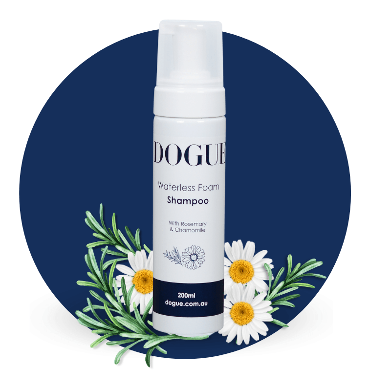 DOGUE Waterless Foam Dog Shampoo