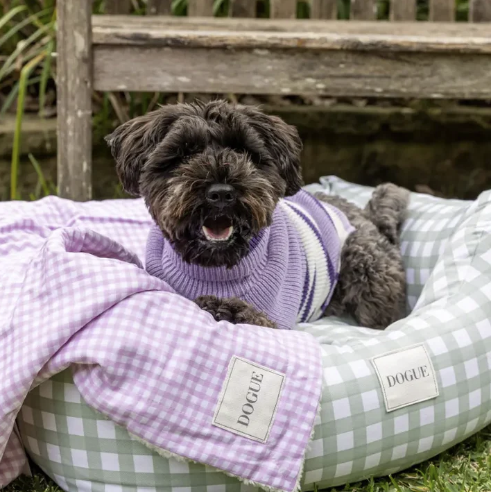 shop-pawsome-boxing-day-deals