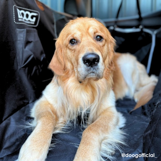 DOOG Car Seat Cover | Buy Online at DOGUE Australia