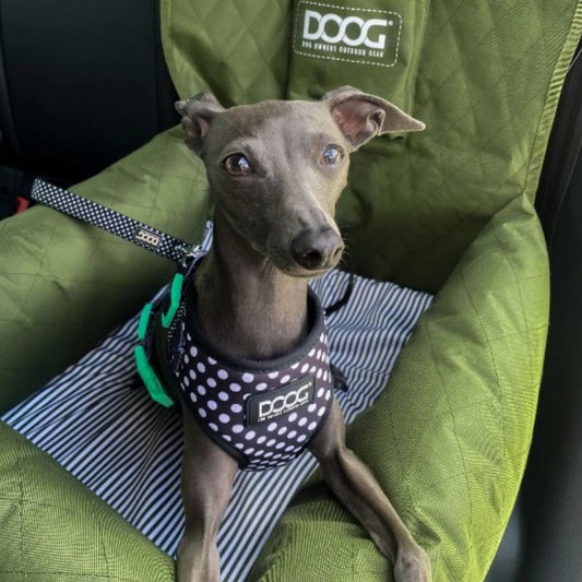 DOOG Dog Car Seat Green