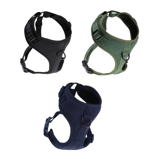 DOOG Neosport Soft Dog Harness | Buy Online at DOGUE Australia