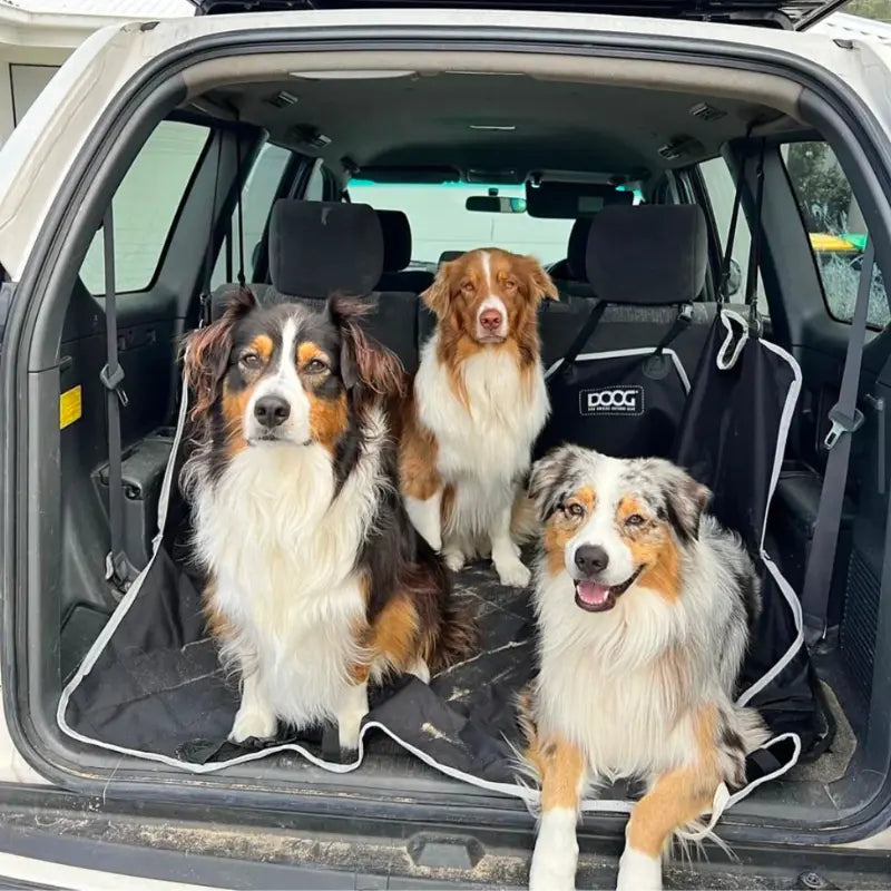DOOG Car Seat Cover | Buy Online at DOGUE Australia