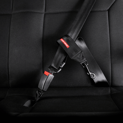 EzyDog Car Seat Attachment