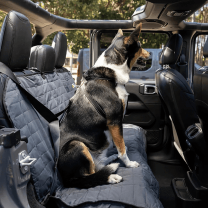 EzyDog Car Seat Attachment