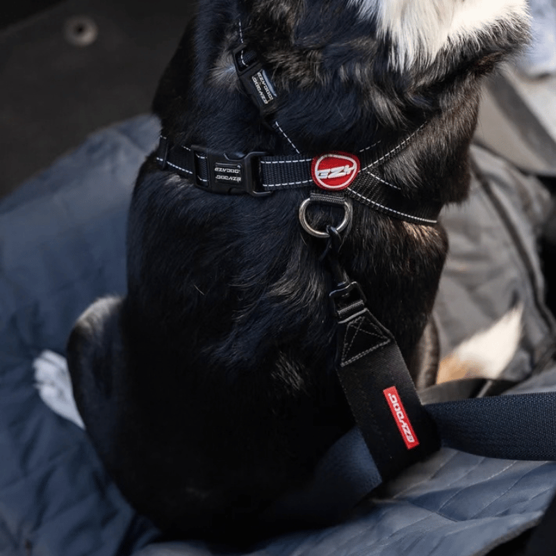 EzyDog Car Seat Attachment