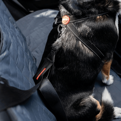 EzyDog Car Seat Attachment