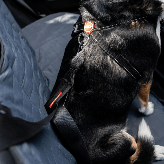 EzyDog Car Seat Attachment
