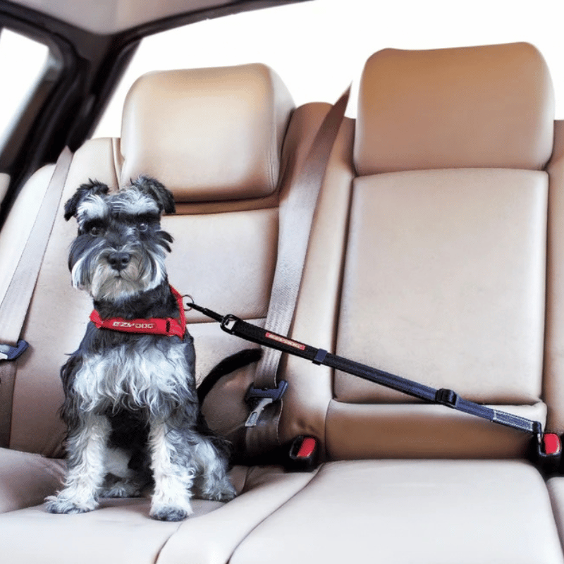 EZYDOG Click Dog Seat Belt