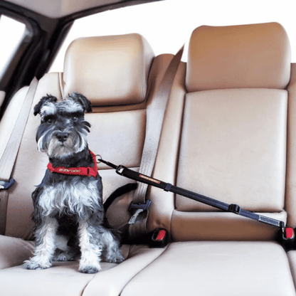 EZYDOG Click Dog Seat Belt