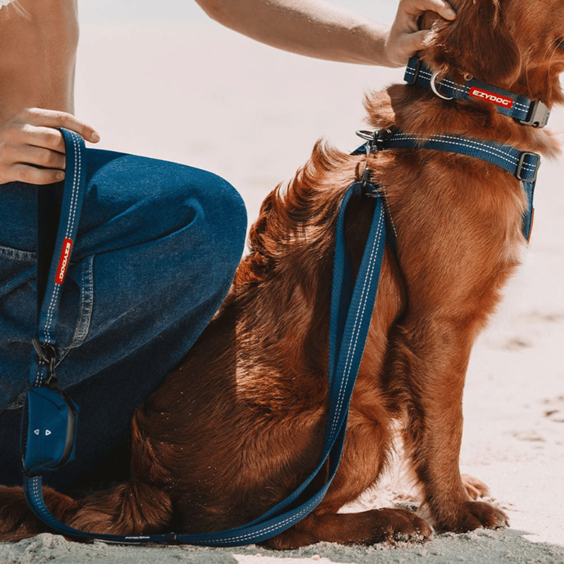 EzyDog Essential Adjustable Dog Lead