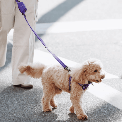 EzyDog Essential Adjustable Dog Lead