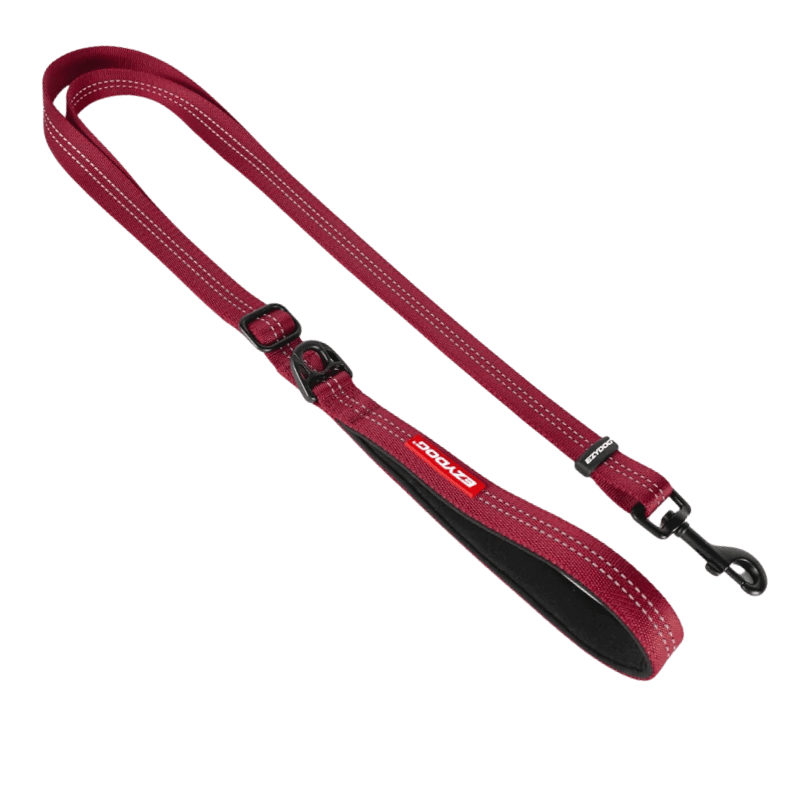 EzyDog Essential Adjustable Dog Lead