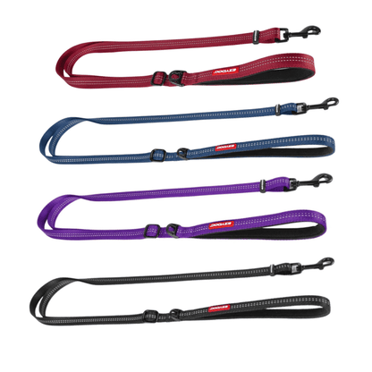 EzyDog Essential Adjustable Dog Lead