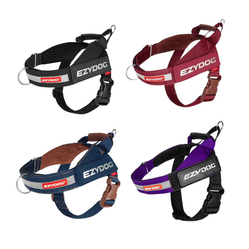 EzyDog Express Dog Harness