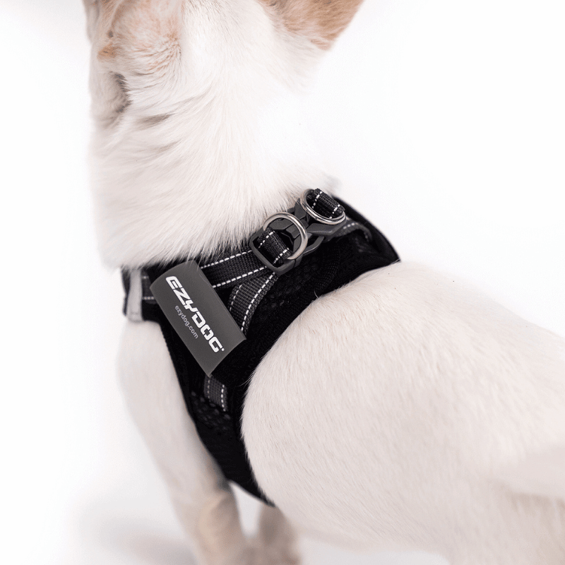EzyDog FormFit Mesh Dog Harness