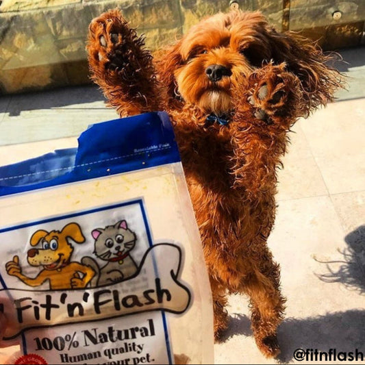 Fit 'n' Flash Liver Thins Dog Treat 100g - DOGUE