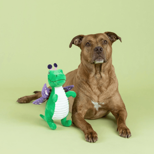 Fringe Studio Flutter Rex Dog Toy