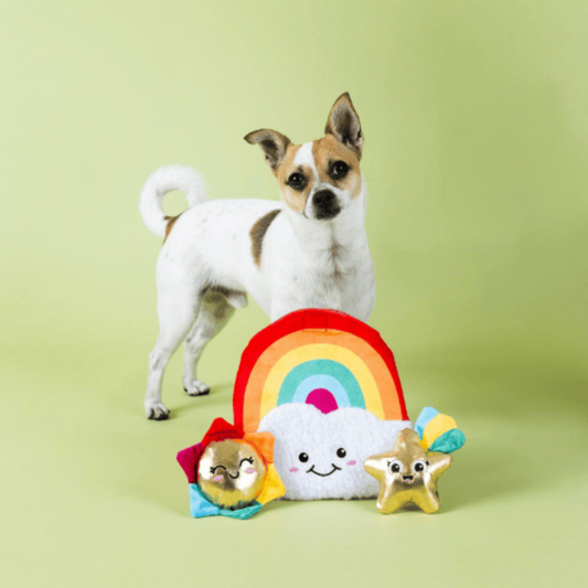 Fringe Studio "Look on the Bright Side" Rainbow Dog Toy