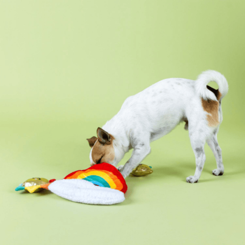 Fringe Studio "Look on the Bright Side" Rainbow Dog Toy