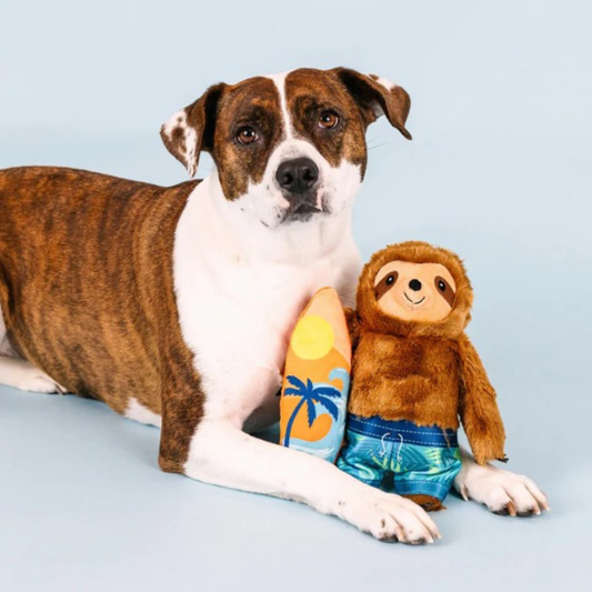 Fringe Studio Makin' Waves Sloth Dog Toy