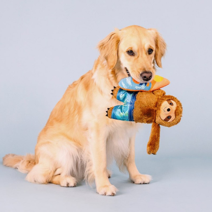 Fringe Studio Makin' Waves Sloth Dog Toy - DOGUE