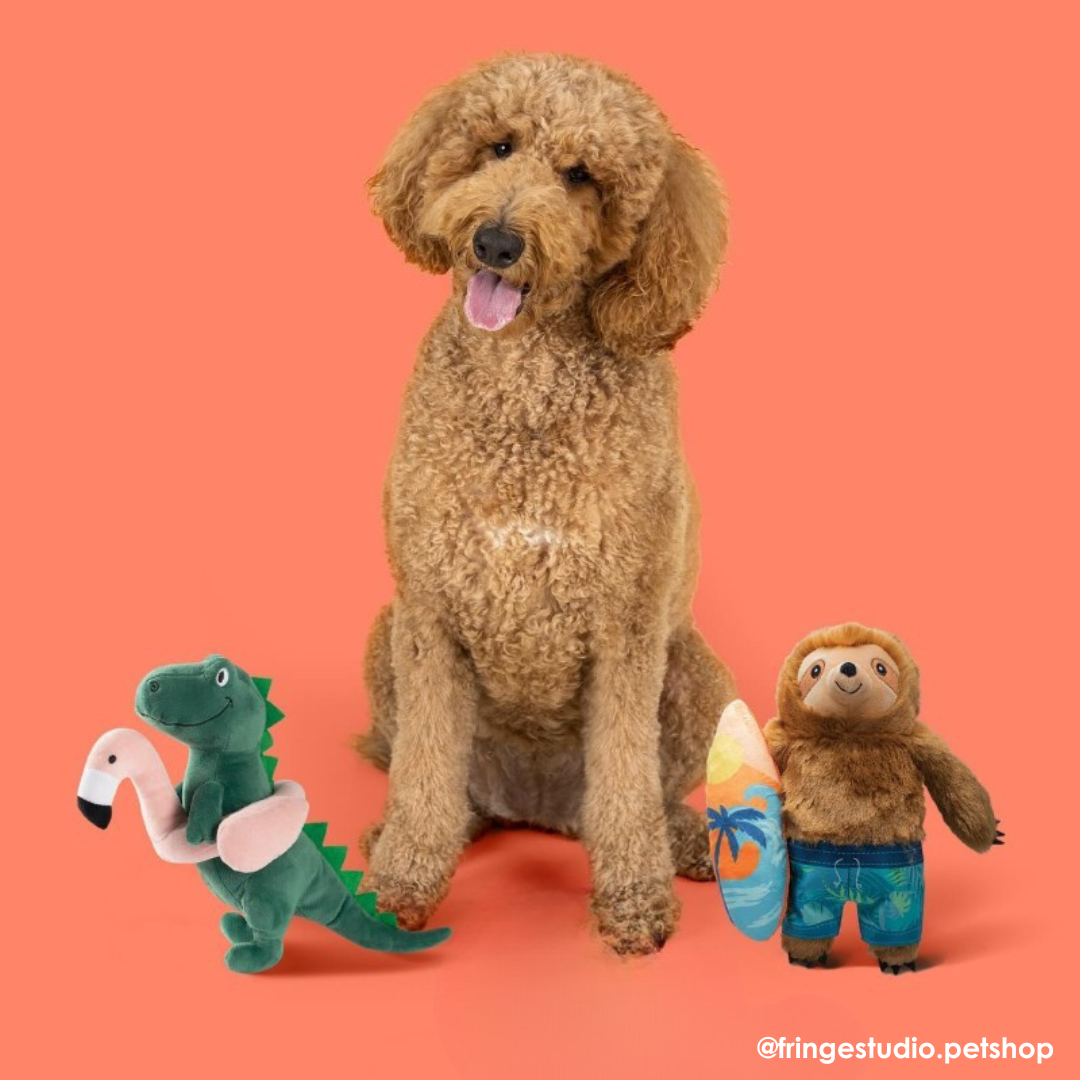 Fringe Studio Makin' Waves Sloth Dog Toy - DOGUE