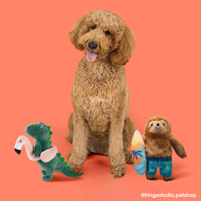 Fringe Studio Makin' Waves Sloth Dog Toy - DOGUE