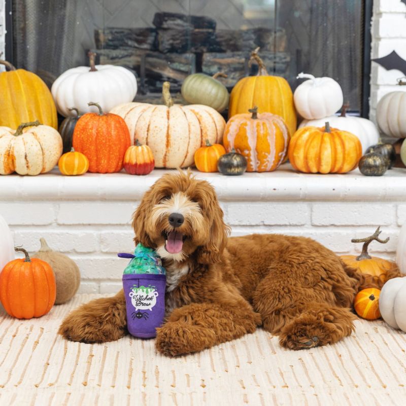 Fringe Studio Halloween Plush Witches Brew Dog Toy - DOGUE