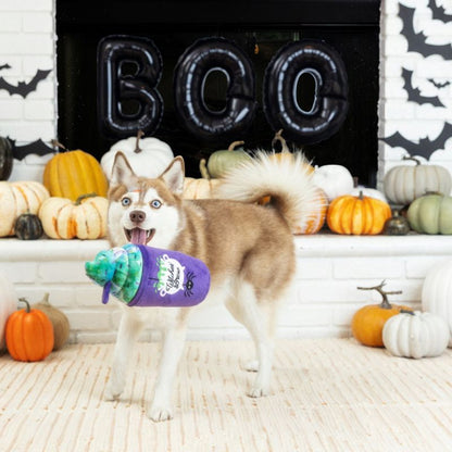 Fringe Studio Halloween Plush Witches Brew Dog Toy - DOGUE