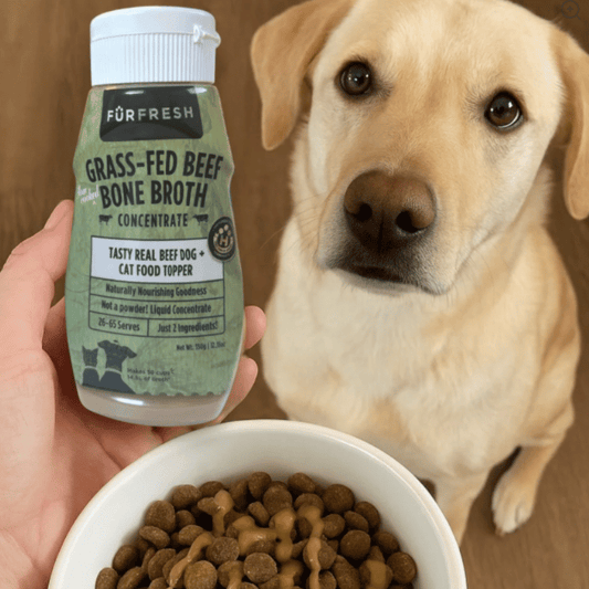 FurFresh Grass-Fed Beef Bone Broth Meal Topper