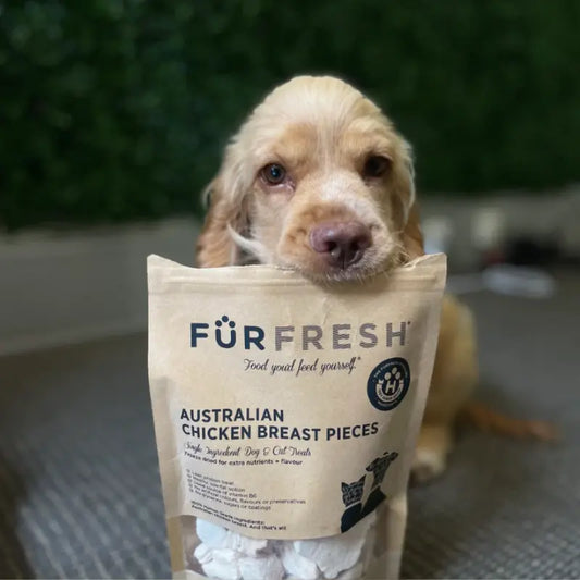 FurFresh Freeze Dried Australian Chicken Breast Dog Treats | Buy Online at DOGUE Australia