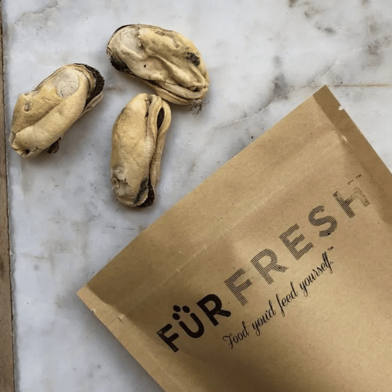 FurFresh Freeze Green Lipped Mussel Dog Treat 50g