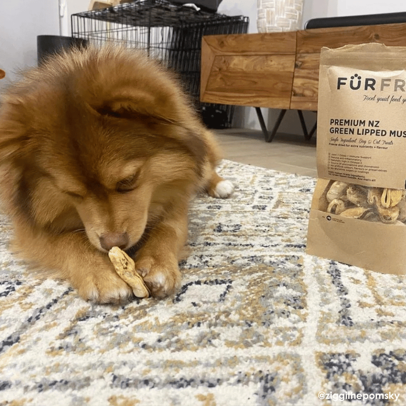 FurFresh Freeze Green Lipped Mussel Dog Treat 50g