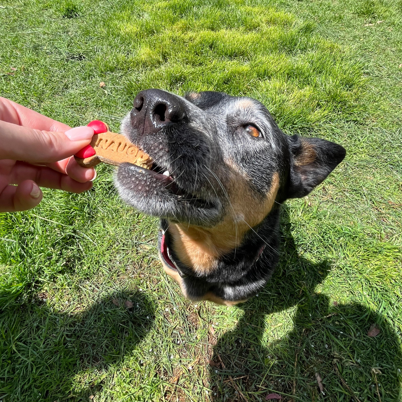 Golden BARKery Naughty and Nice Holiday Dog Treat