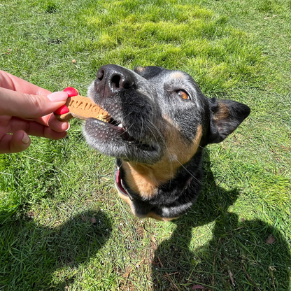 Golden BARKery Naughty and Nice Holiday Dog Treat