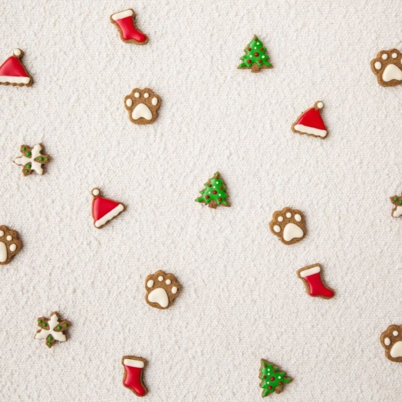 Golden BARKery Holiday Dog Treat 12-pack Dog Biscuits Box - DOGUE