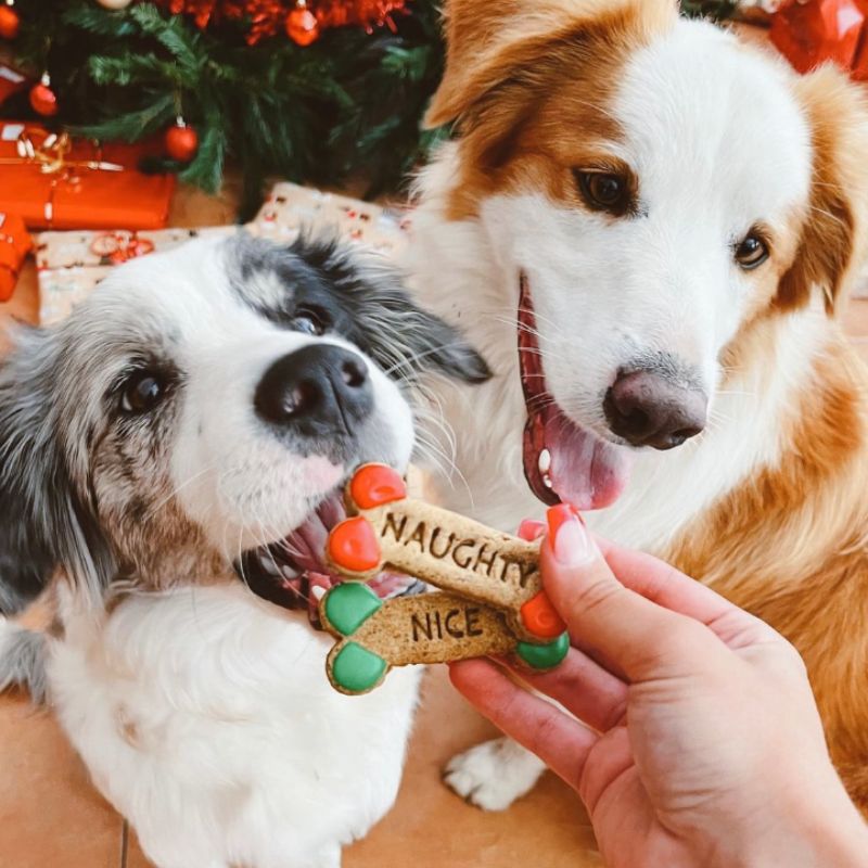 Golden BARKery Naughty and Nice Christmas Dog Treat - DOGUE