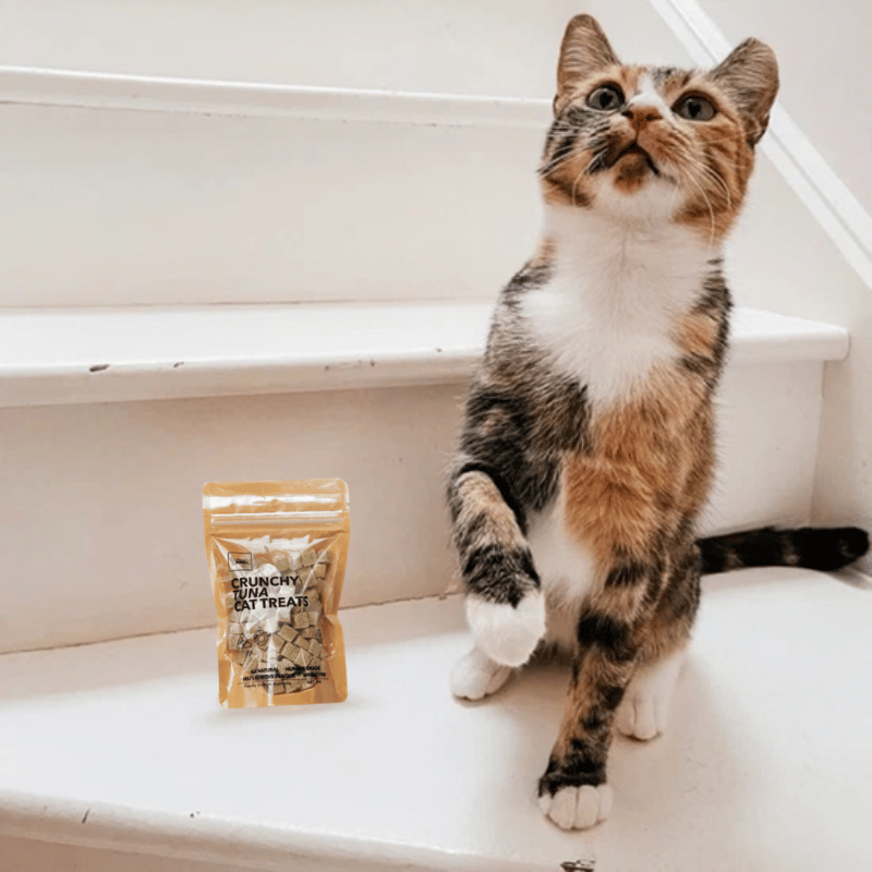Golden BARKery Holiday Tuna Cat Treat