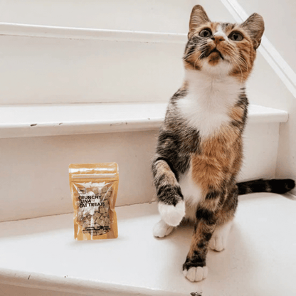 Golden BARKery Holiday Tuna Cat Treat