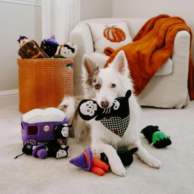 ZippyPaws Colossal Buddie Skeleton Dog Toy - DOGUE