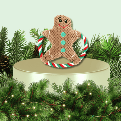 Holiday Plush Ring Dog Toy